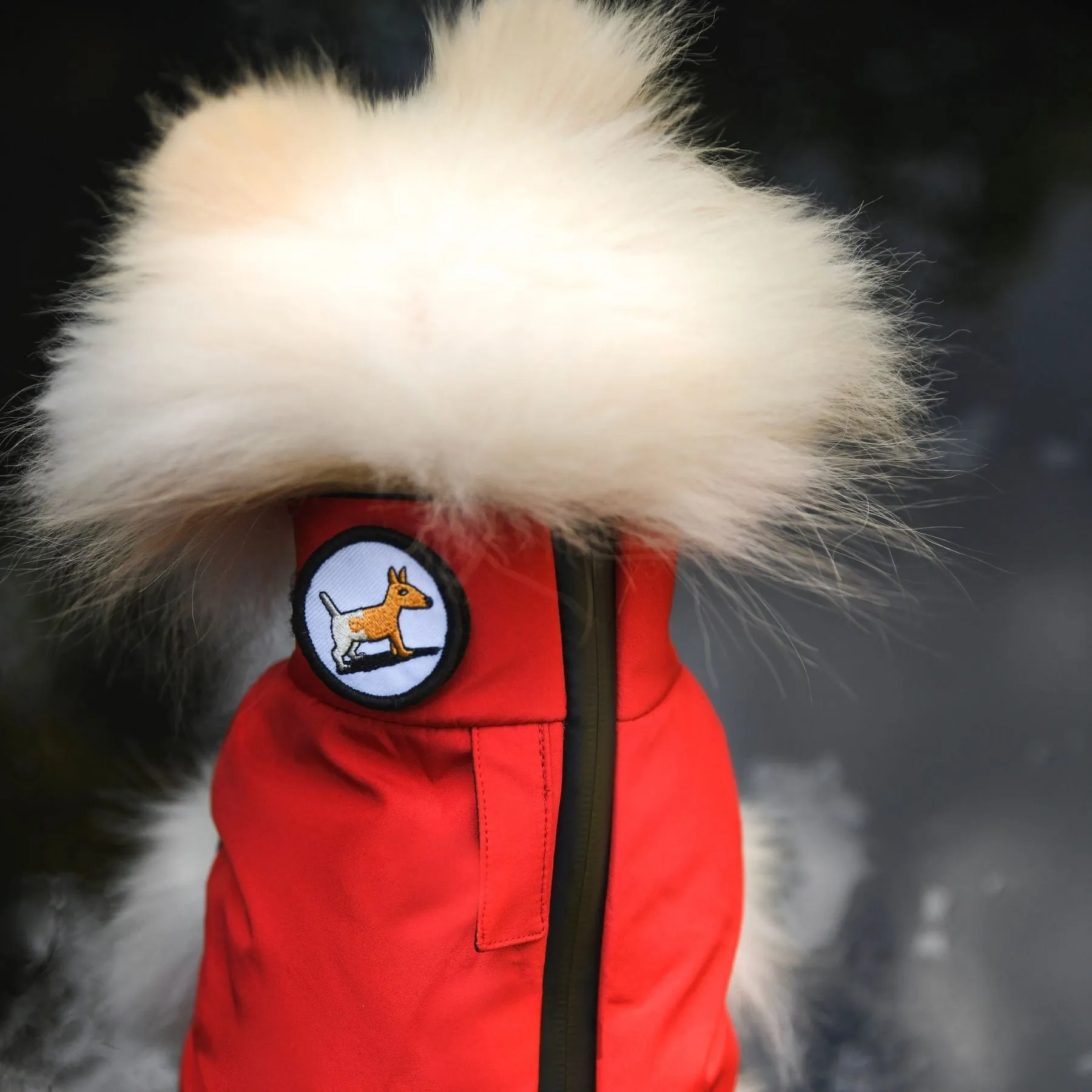 "Warm so chic" dog winter jacket  - Red